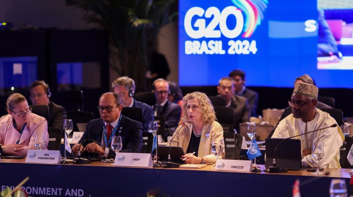 Inger Andersen at the G20 meetig in Brazil