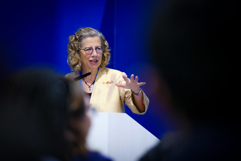 Report of the Executive Director to UNEA-7