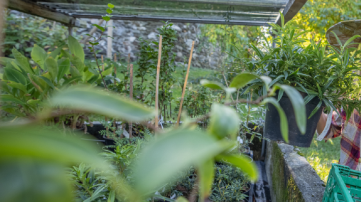 BioCidades Empreendedoras